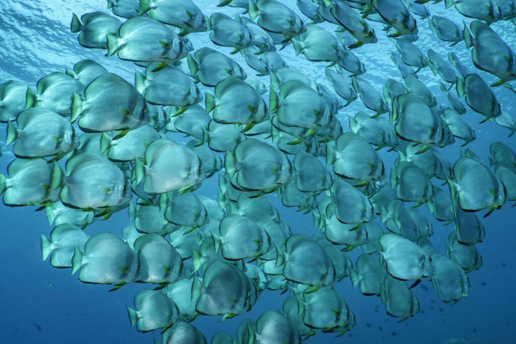 Cristina Mittermeier Rolex