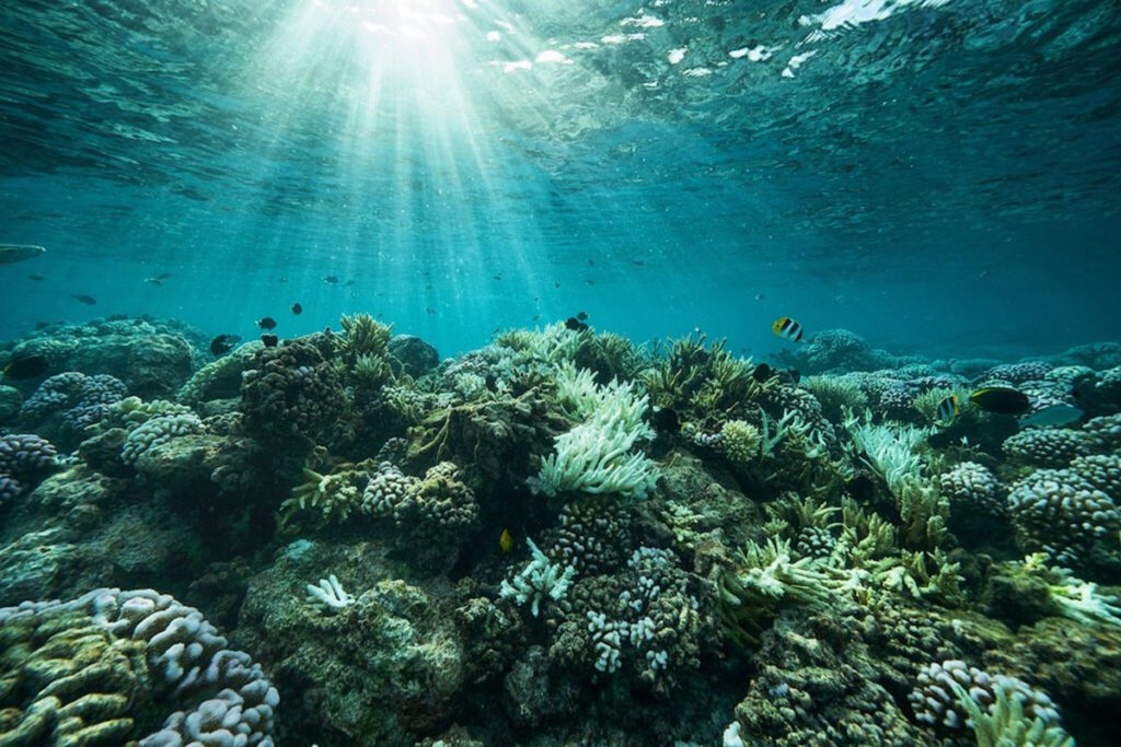 Cristina Mittermeier Rolex